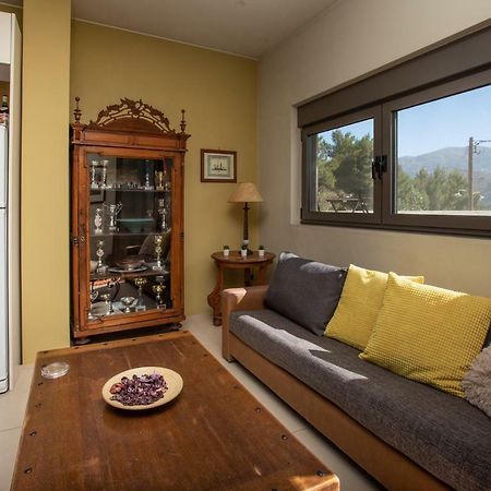 Apartamento The Pine Flat Argostoli  Exterior foto